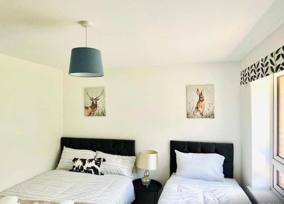 Ashford Retreat - Luxury With Double Parking Holiday home