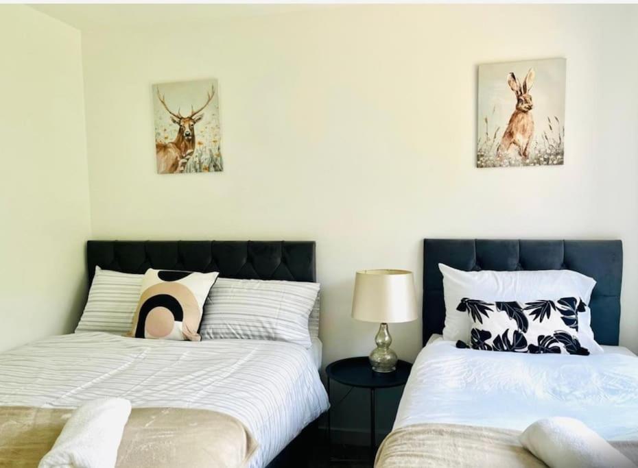 Ashford Retreat - Luxury With Double Parking