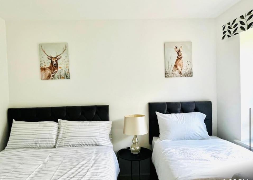 Ashford Retreat - Luxury With Double Parking